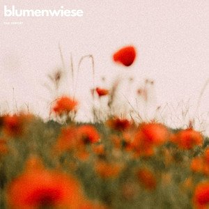 Blumenwiese