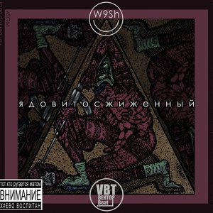 4SGM и VBT 的头像