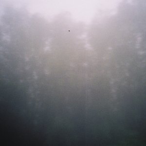 Fragments