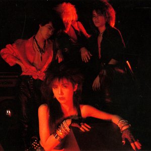 Virgin Rocks 的头像