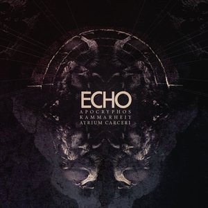 Echo