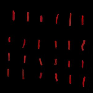 Strokes of Incarceration (Anniversary Edition)