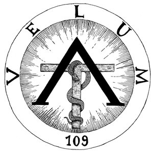 Velum 的头像
