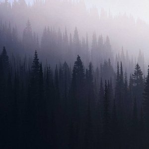 Of Fog and Fire
