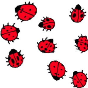 Bugz