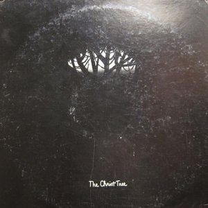 The Trees perform The Christ Tree - Remastered