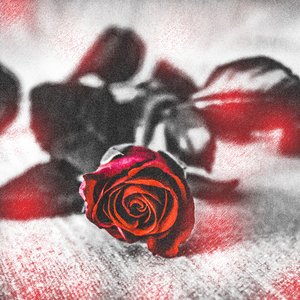 Missing - Single