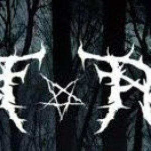 Avatar for Veil of Autumn