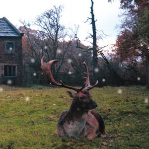 Christmas Stocking Filler Two