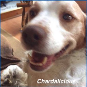 Chardalicious