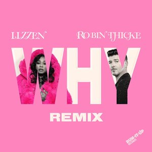 Avatar de Lizzen & Robin Thicke
