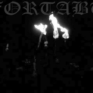 Fortabt 的头像