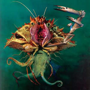 The Mollusk [Explicit]