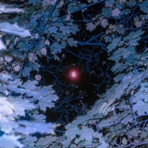 not perfect - Single