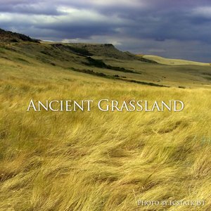 Ancient Grassland