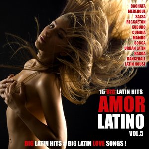 Amor Latino, Vol. 5 - 15 Big Latin Hits & Latin Love Songs (Bachata, Merengue, Salsa, Reggaeton, Kuduro, Mambo, Cumbia, Urbano, Ragga)