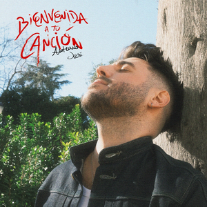 Bienvenida A Tu Canción का आर्टवर्क