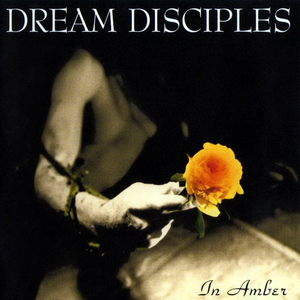 In Amber cover