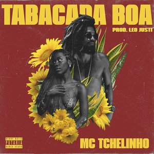 Tabacada Boa (Ela é Safadinha) (feat. Leo Justi & Heavy Baile) - Single