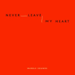 Never Leave My Heart