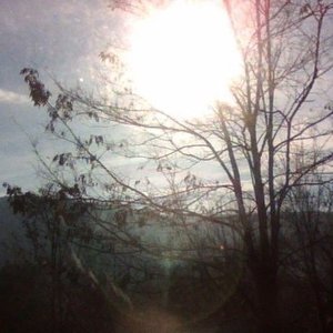 blame it on (them) - Single