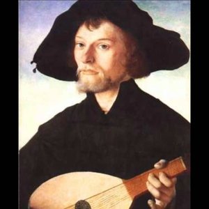 Francesco Spinacino 的头像