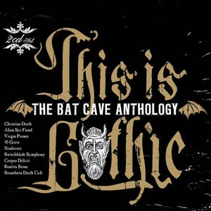 This Is Gothic - The Bat Cave Anthology