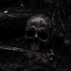 Necrochaos 的头像