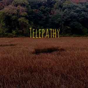 Telepathy