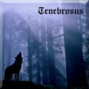 Tenebrosus