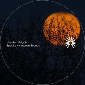 Haunted Heights 的头像