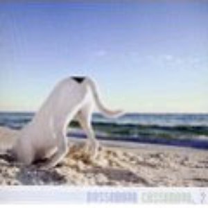 BOSSANOVA CASSANOVA 的头像