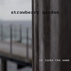 It Looks the Same - Single