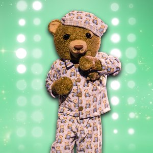 Image for 'The Masked Singer: Teddybeer'