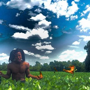 THE WORLD IS FREE