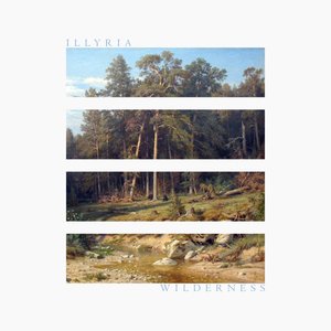 Wilderness - Single