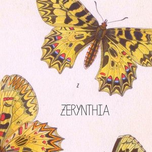 Zerynthia 的头像
