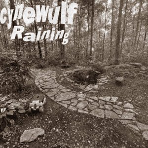 Raining - Single