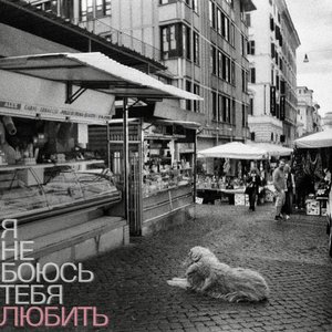 Я не боюсь тебя любить