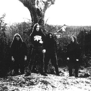 Molested photo provided by Last.fm