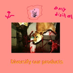 Diversify our products