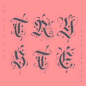 T R Y S T E のアバター