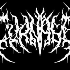 cvrnage 的头像