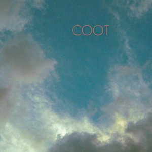 Coot