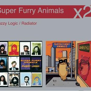 Fuzzy Logic / Radiator