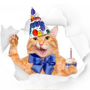 Mythical Kitchen のアバター