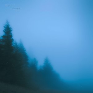 i wish i could forget