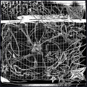 50dmg - Single
