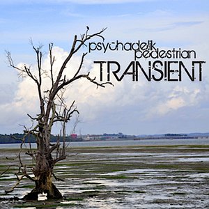 Transient