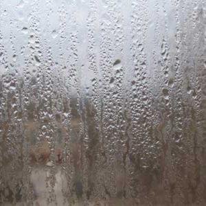 condensate